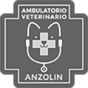 Ambulatorio Veterinario Anzolin 