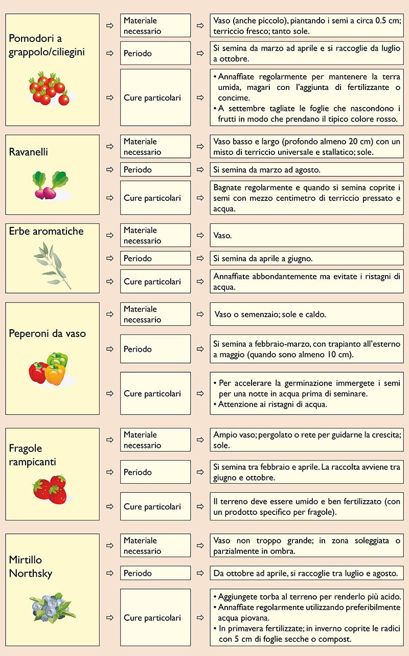 Verdure da coltivare sul balcone