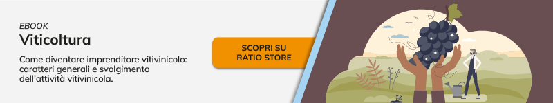 Aggravamento pene e sospensione patente per l’abbandono di rifiuti