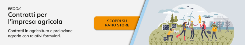 Da Ismea 50 milioni di finanziamenti agevolati per il mondo agricolo